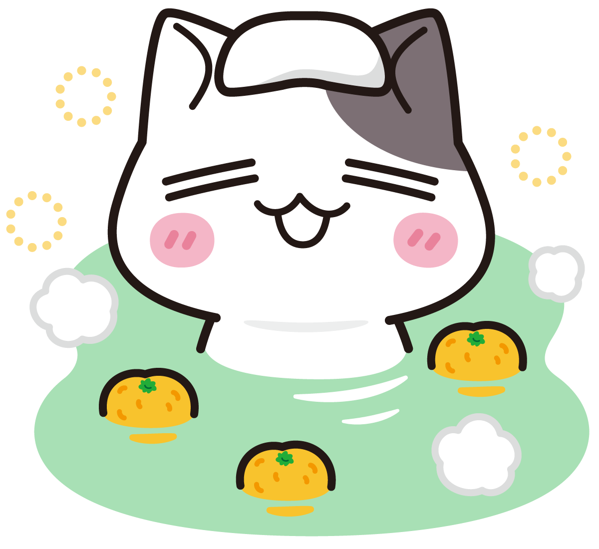 Spa cat