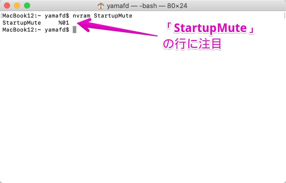 Macの「ターミナル」で、StartupMuteの設定コマンドを実行