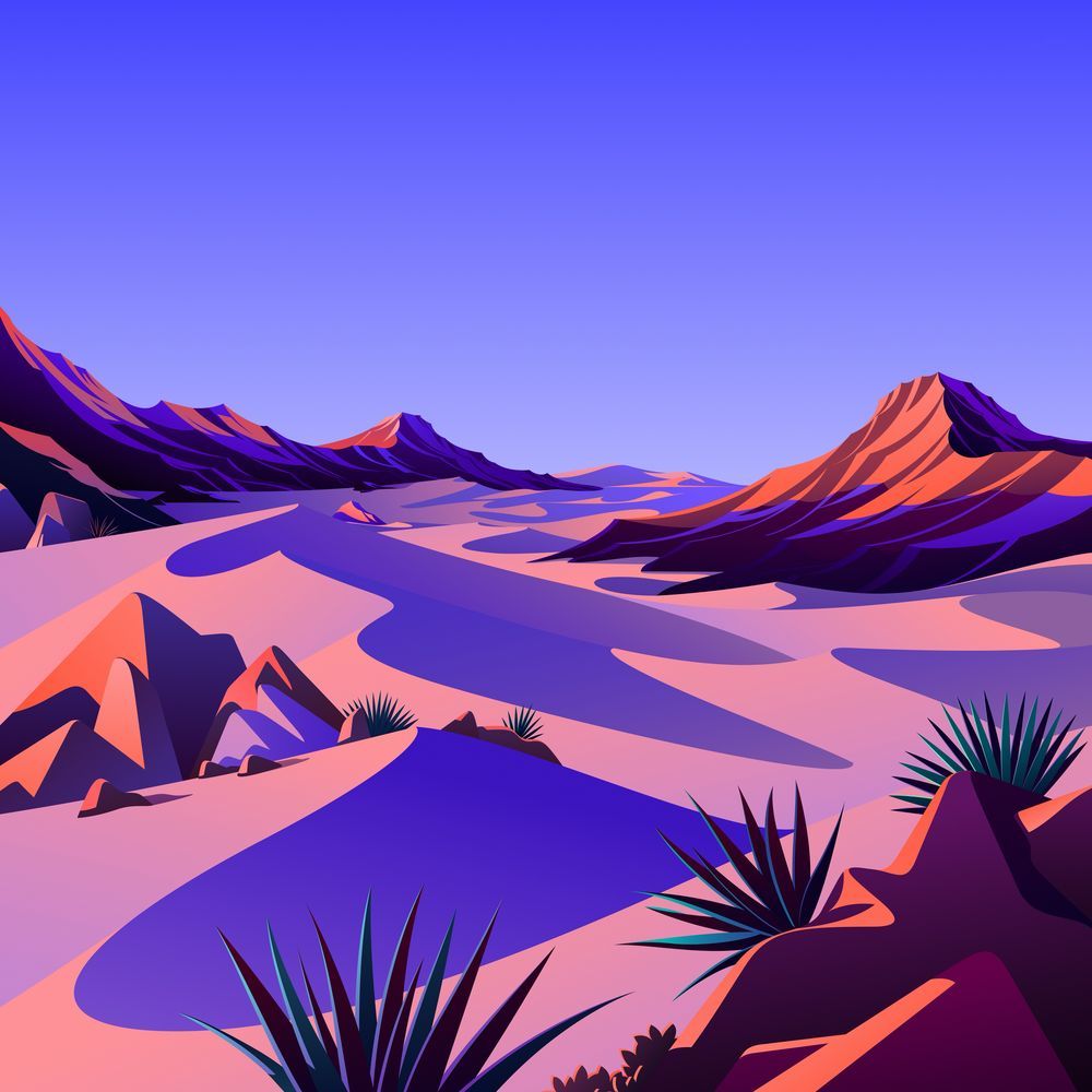 The Desert 6
