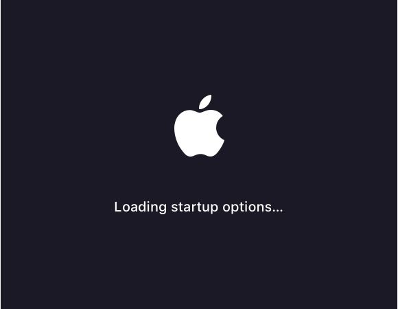 Apple Silicon Mac Startup