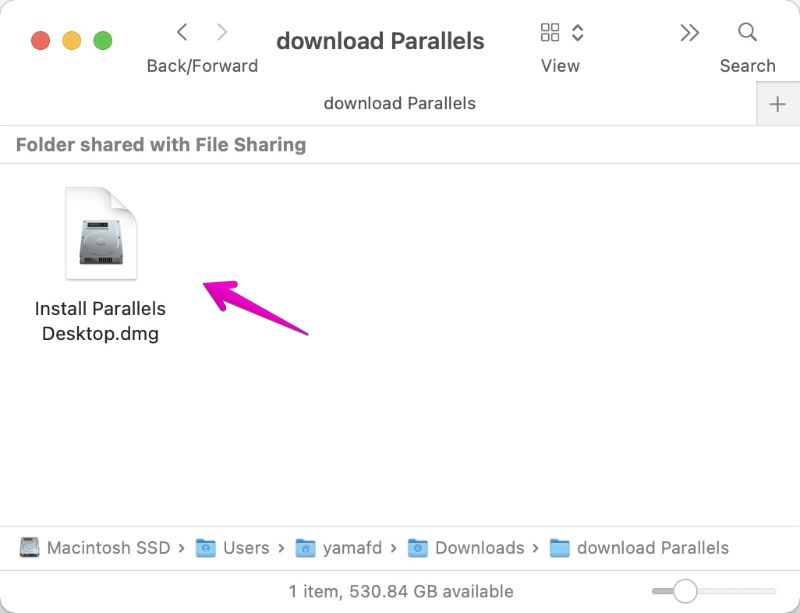 Download and install Parallels Desktop
