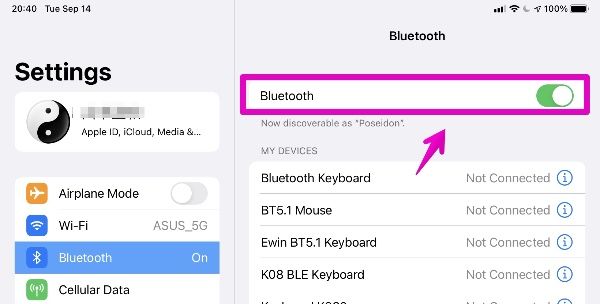 Mac "System Preferences" - "Bluetooth"