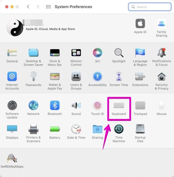 Mac "System Preferences"