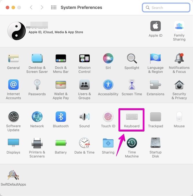 Mac "System Preferences"