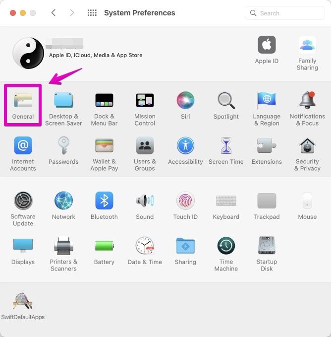 Mac "System Preferences"