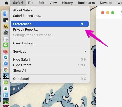 Mac Safari "Preferences"