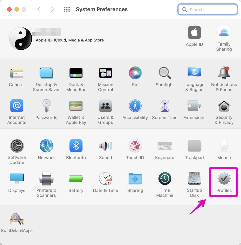 Mac "System Preferences"