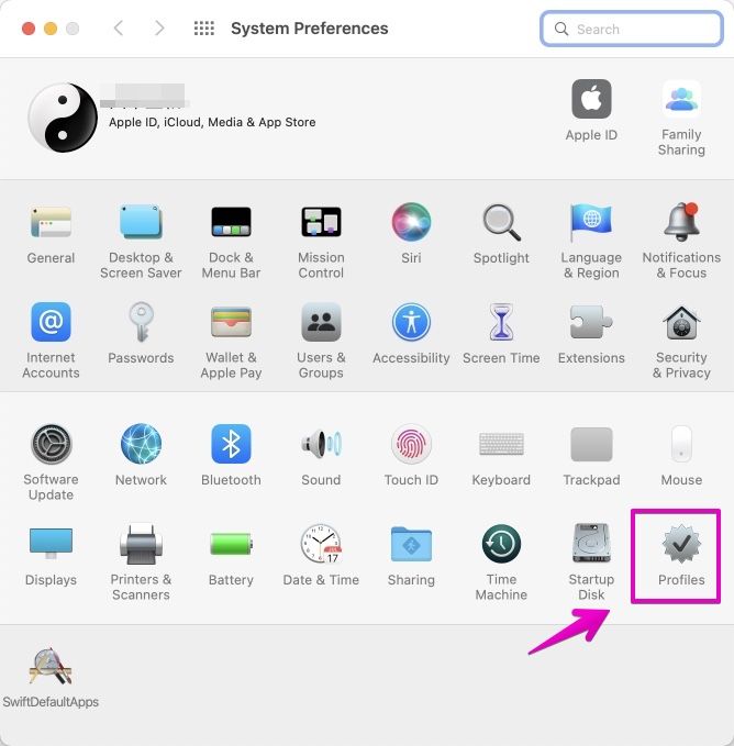 Mac "System Preferences"