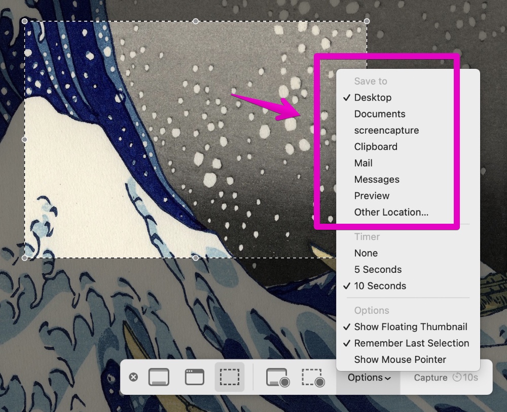 Mac "Screenshot.app" -> "Options"