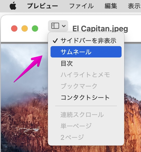 Mac "プレビュー.app"