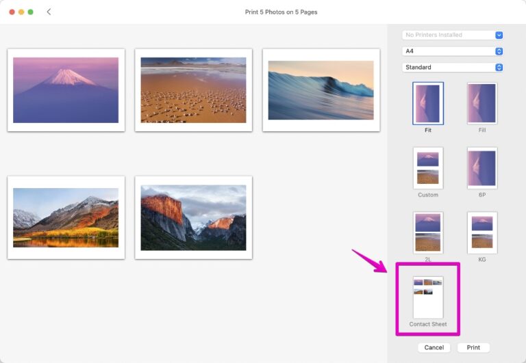 How to print multiple photos on one page on Mac Mac Cheat Sheet