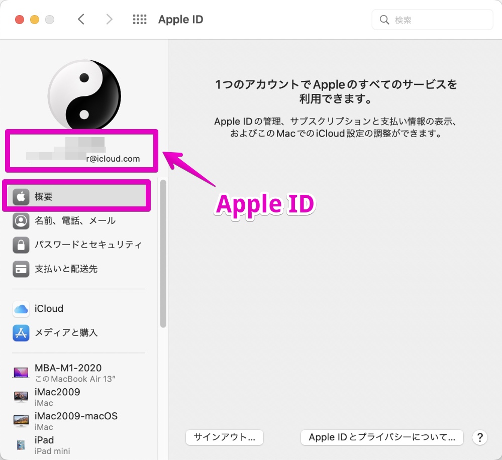 Mac システム環境設定 - Apple ID