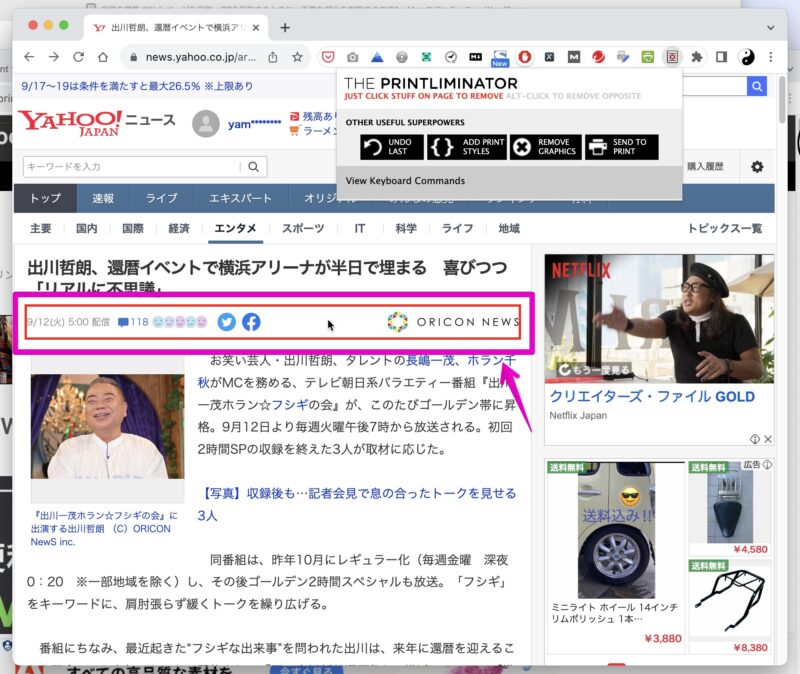 Google Chrome 拡張機能「THE PRINTLIMINATOR」