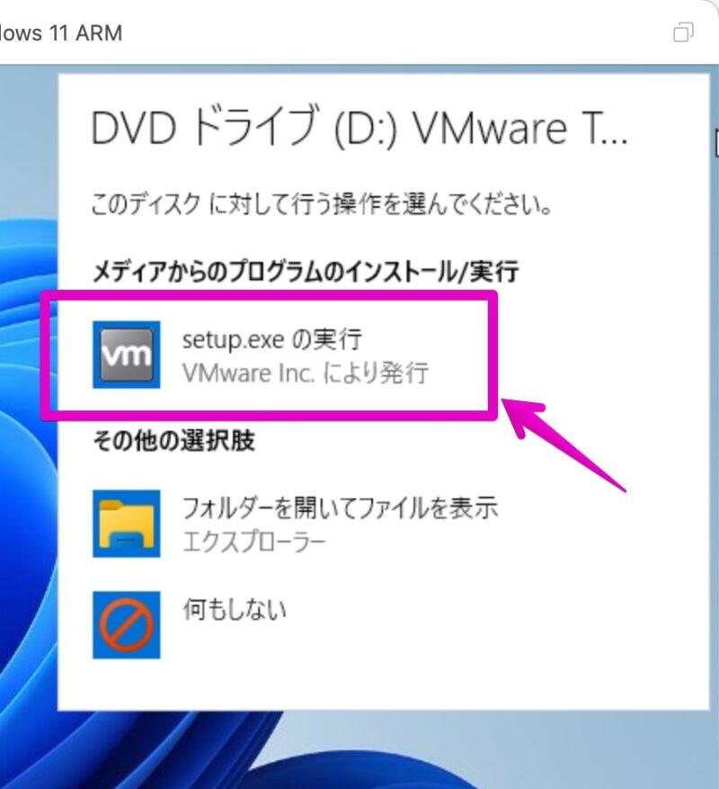 Windows 11 自動再生